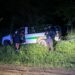 Carro robado fue encontrado entre los matorrales