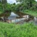 Camión terminó hundiéndose en una poza de agua