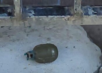 Se realizó la explosión controlada de una granada de mano en la comuna de Bajo Alto