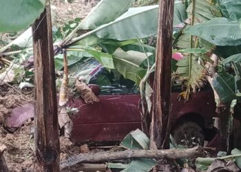 Derrumbe destruyó una vivienda y una camioneta