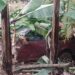Derrumbe destruyó una vivienda y una camioneta