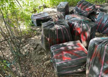 En una isla se encontró enterrada más de media tonelada de sustancias ilícitas