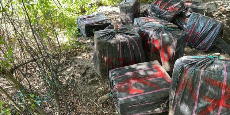 En una isla se encontró enterrada más de media tonelada de sustancias ilícitas
