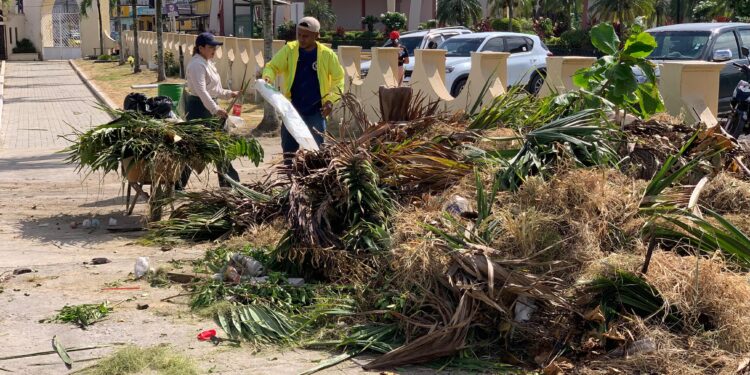 Trabajos de adecentamiento en el Cementerio General de Santa Rosa