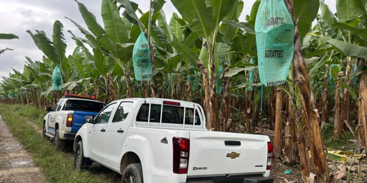 Hallaron una osamenta enterrada en la vía Pajonal