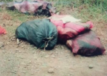 Hallan tres cuerpos desmembrados dentro de sacos