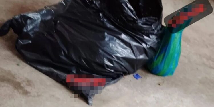Encuentran cuerpo desmembrado en bolsas, en dos vías rurales