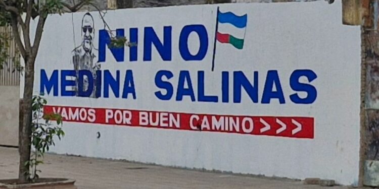 pintadas en paredes no constituyen aún campaña electoral