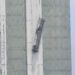 Trabajadores rescatados con vida en edificio La Previsora de Guayaquil