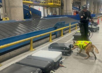 En una maleta se pretendía llevar droga a Grecia