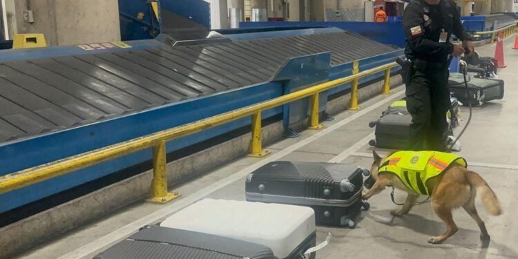 En una maleta se pretendía llevar droga a Grecia