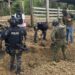 Policía halla segunda caleta en la misma finca y encuentran casi dos toneladas de droga