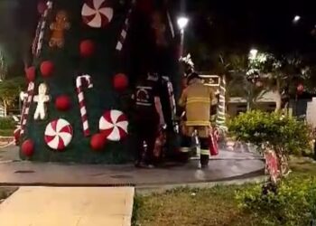 Reportan atentado contra el árbol de Navidad del cantón El Guabo