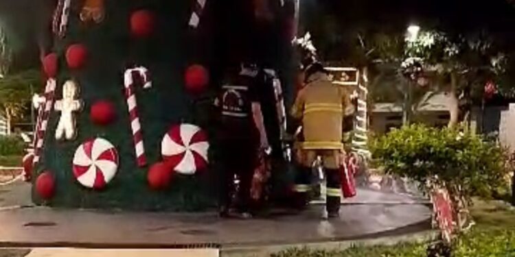 Reportan atentado contra el árbol de Navidad del cantón El Guabo