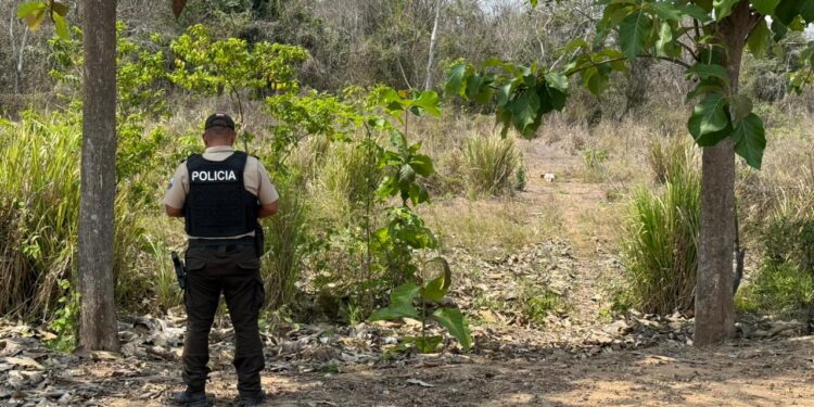 Entre la maleza abandonaron cadáver que tenía las manos y los pies amarrados