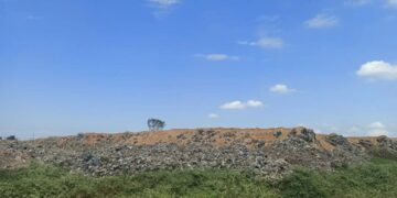 Colectivo Balosa y Centro Agrícola de Machala Denuncian Atentado Ambiental