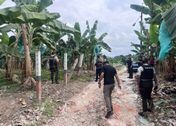 Hallan un cuerpo decapitado, con los pies amarrados