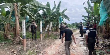 Hallan un cuerpo decapitado, con los pies amarrados