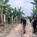 Hallan un cuerpo decapitado, con los pies amarrados