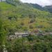 Fuerzas del orden pierden el control de los territorios en Ecuador