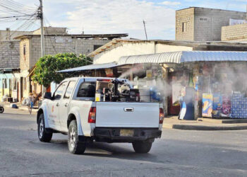 El Oro entre las siete provincias que serán intervenidas para prevenir el dengue en la etapa invernal