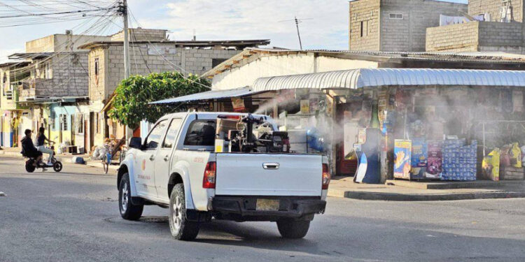El Oro entre las siete provincias que serán intervenidas para prevenir el dengue en la etapa invernal
