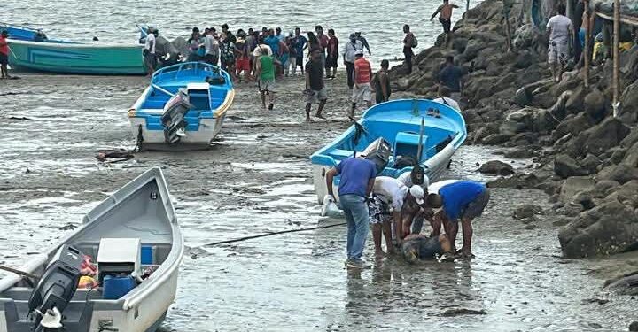 Al menos cinco personas asesinadas en una masacre en el antiguo muelle de San Vicente