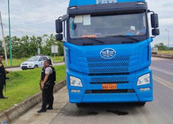 Persecución policial permitió recuperar cargado con balanceado