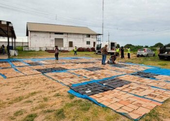 Duro golpe al narcotráfico en la región Tumbes