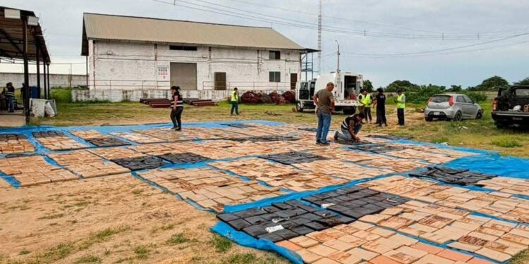 Duro golpe al narcotráfico en la región Tumbes