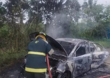 Hallan vehículo incinerado y sin rastro de sus ocupantes en el sector San Luis de Cajones