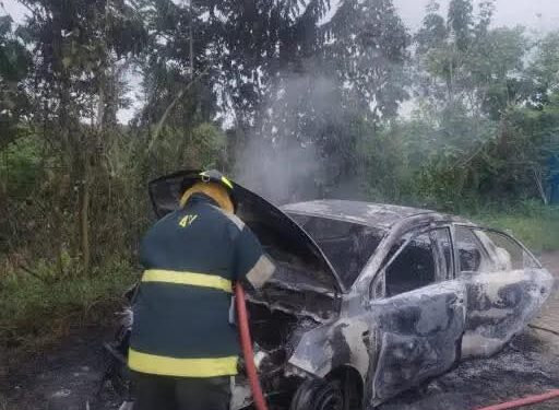Hallan vehículo incinerado y sin rastro de sus ocupantes en el sector San Luis de Cajones
