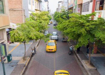 Plan de regeneración urbana del casco central prioriza la siembra de árboles nativos e incremento de áreas verdes