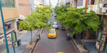 Plan de regeneración urbana del casco central prioriza la siembra de árboles nativos e incremento de áreas verdes