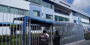 Chats telefónicos destapan mafia de venta de licencias de conducir sin exámenes en la ANT