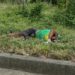 Investigan la muerte violenta de un joven de 18 años en la vía Chone–Canuto