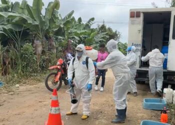 Bananeros piden reforzar medidas para frenar propagación del Fusarium tras segundo caso
