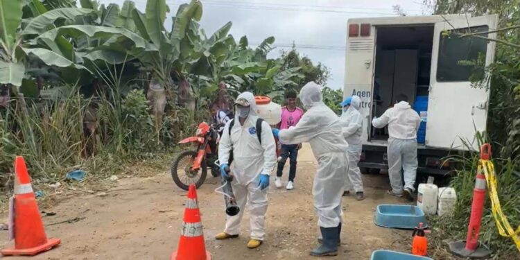 Bananeros piden reforzar medidas para frenar propagación del Fusarium tras segundo caso