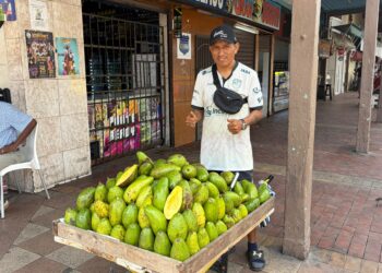Marco Antonio Gualacio: una vida dedicada a la venta de aguacate criollo