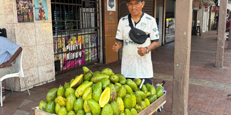 Marco Antonio Gualacio: una vida dedicada a la venta de aguacate criollo