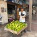 Marco Antonio Gualacio: una vida dedicada a la venta de aguacate criollo