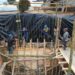 Alcalde Jonny Cueva supervisa los trabajos de mejoramiento en la Planta Central de Agua Potable de Marcabelí