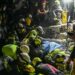 Entre silencios y escombros, Colombia sigue buscando vidas: rescates que mantienen la esperanza tras el terremoto