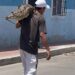 Hombre carga un cocodrilo sobre los hombros y la escena desata una investigación ambiental