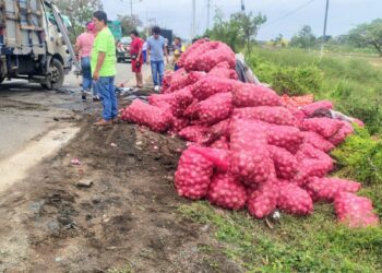 Camión cargado de cebolla se volcó en la vía Machala-Santa Rosa