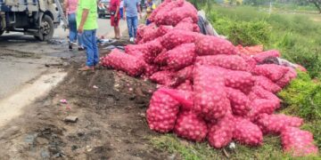 Camión cargado de cebolla se volcó en la vía Machala-Santa Rosa