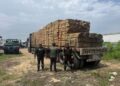 Retienen camión que transportaba más de 62 metros cúbicos de madera en Machala