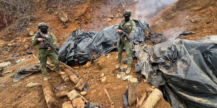 Inhabilitan una bocamina y destruyen 50 bultos de material aurífero en Ponce Enríquez