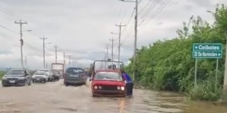 Desbordamiento de canales afluentes de Casa Camarones inunda la vía Balosa y deja incomunicadas a más de 3 000 familias en Machala